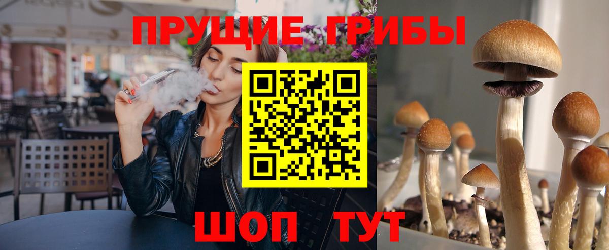 Галлюциногенные грибы Magic Shrooms  Псилоцибиновые грибы прущие грибы  Москва  Вход с VPN 